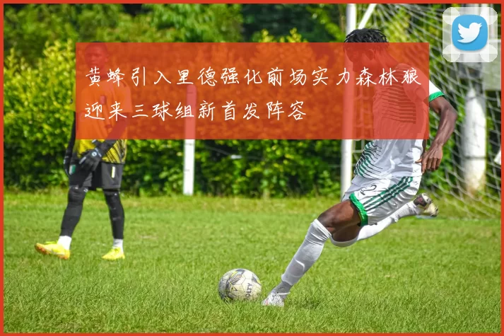 黄蜂引入里德强化前场实力森林狼迎来三球组新首发阵容